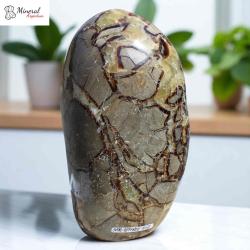 Septárie freeform 2,598kg