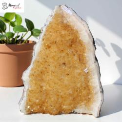 Citrínová drúza 7,004 kg