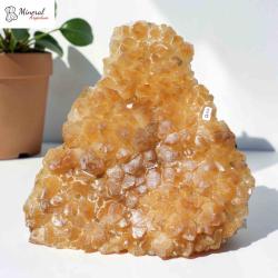 Citrínová drúza 5,246 kg