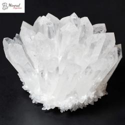 Křišťálový květ 1500-1650g