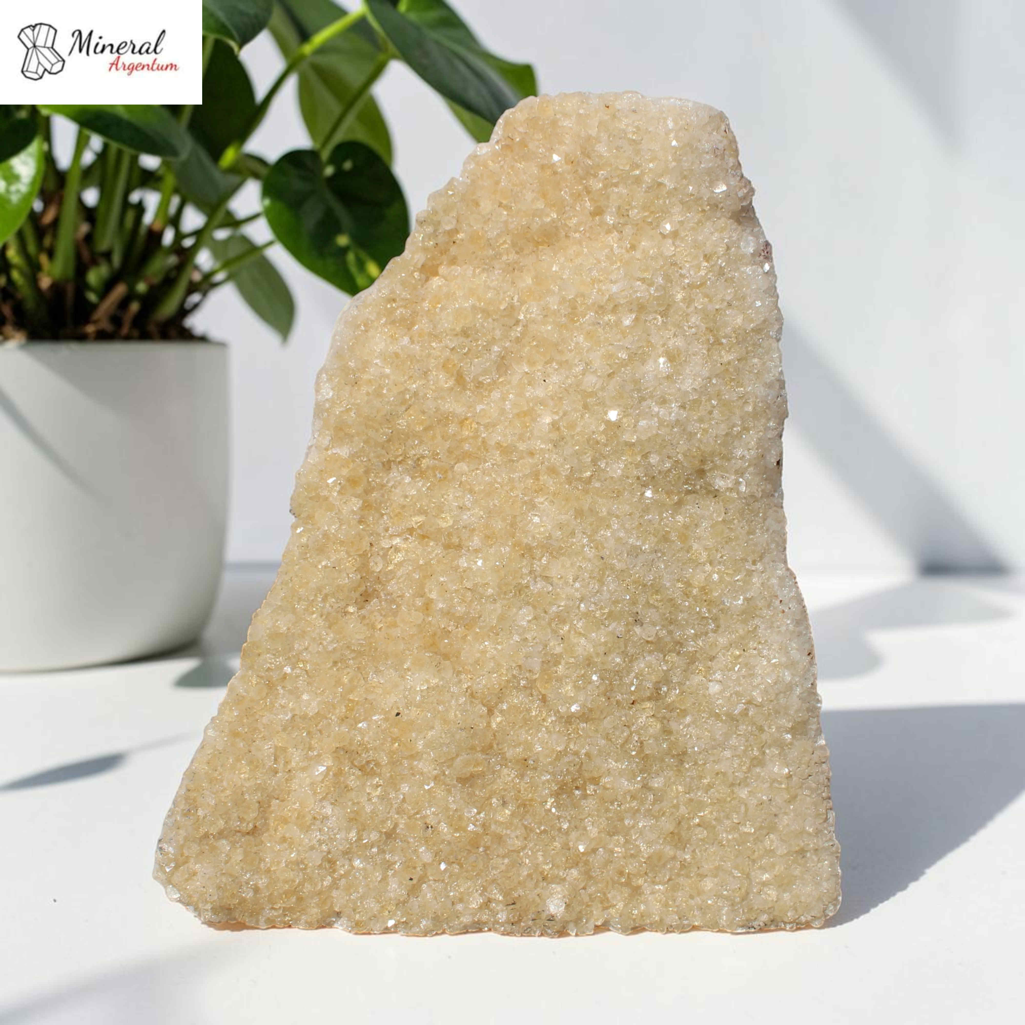 Citrínová drúza 1,522 kg