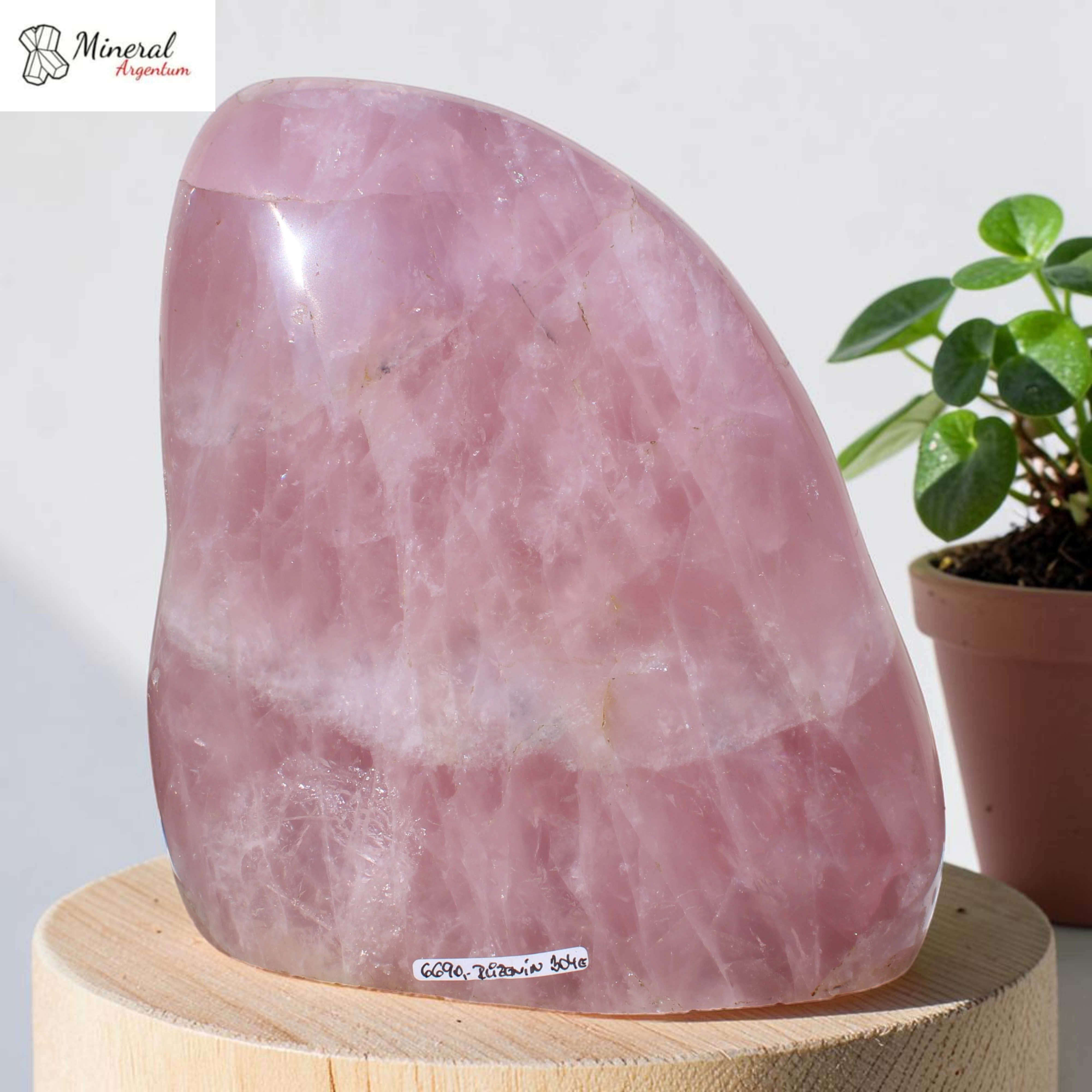 Růženín freeform 5,626 kg