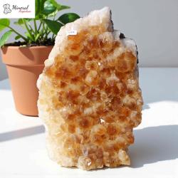 Citrínová drúza 2,972 kg