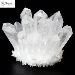 Křišťálový květ 530-750g