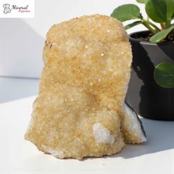 Citrínová drúza 3,416 kg