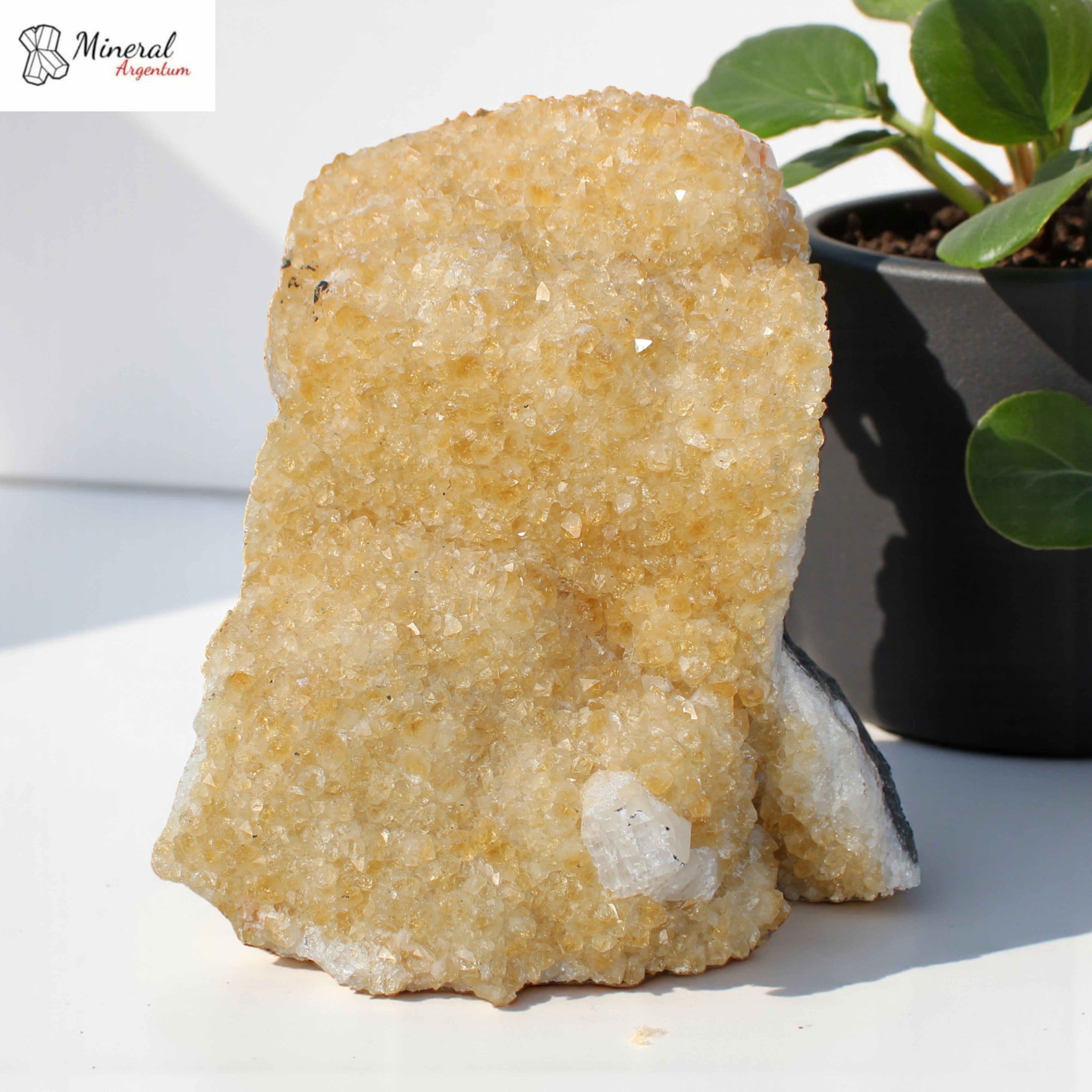 Citrínová drúza 3,416 kg