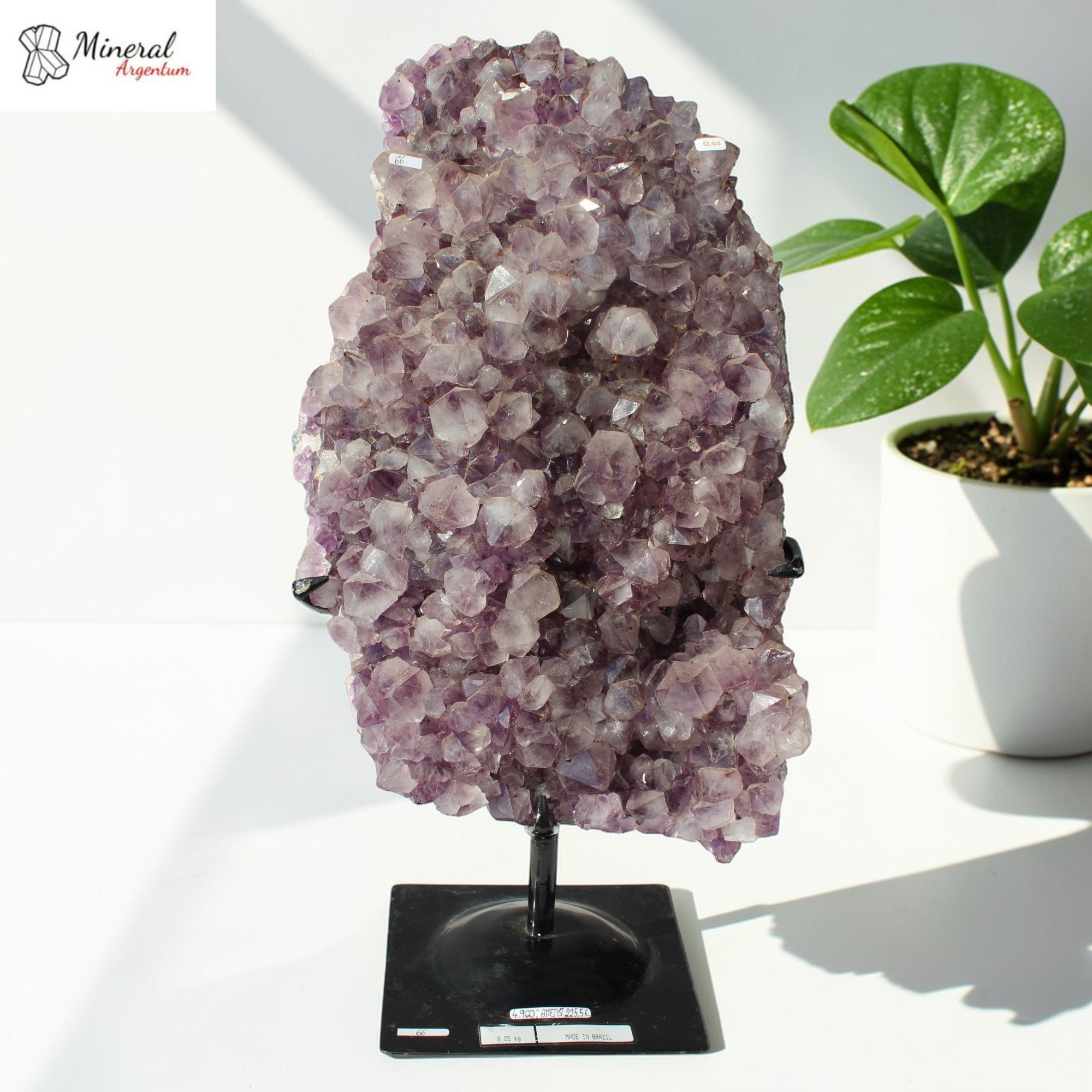 Ametystová drúza na kovovém stojánku 9,05 kg