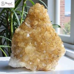 Citrínová drúza 3,456 kg