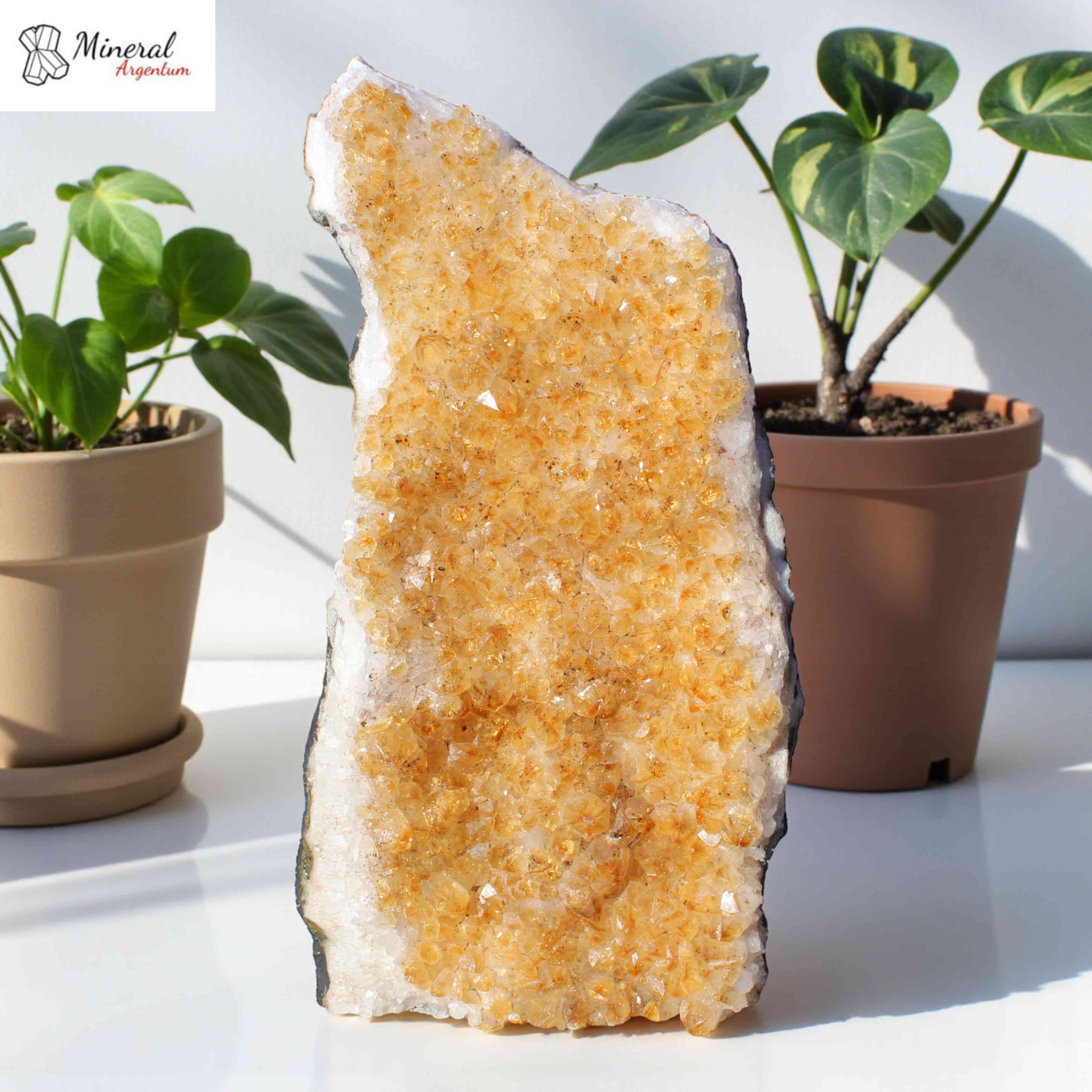 citrínová drúza 3,010 kg