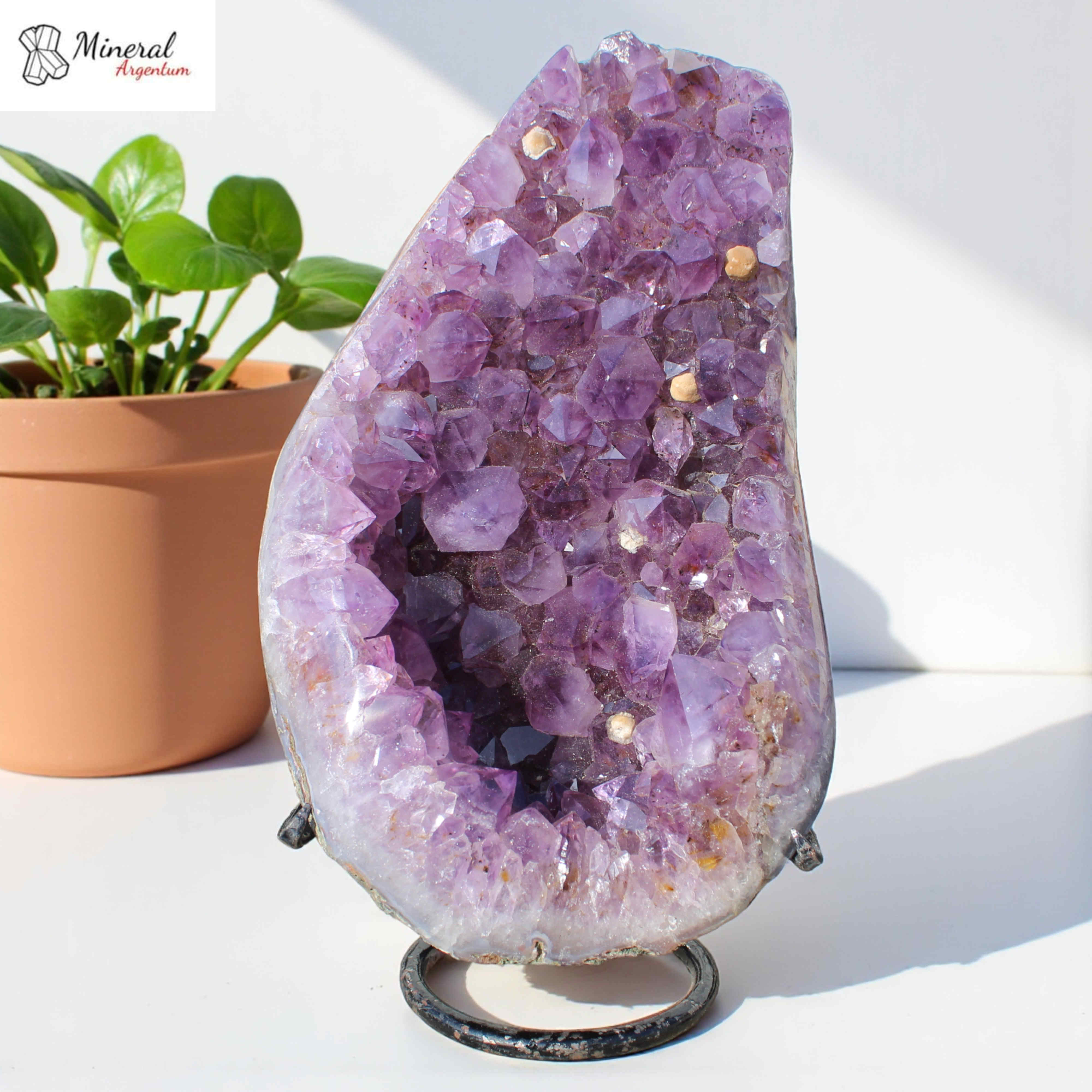 Ametystová drúza na kovovém stojánku 2,38 kg