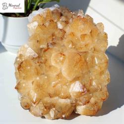 Citrínová drúza 5,944 kg