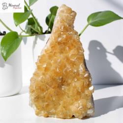 Citrínová drúza 3,558 kg