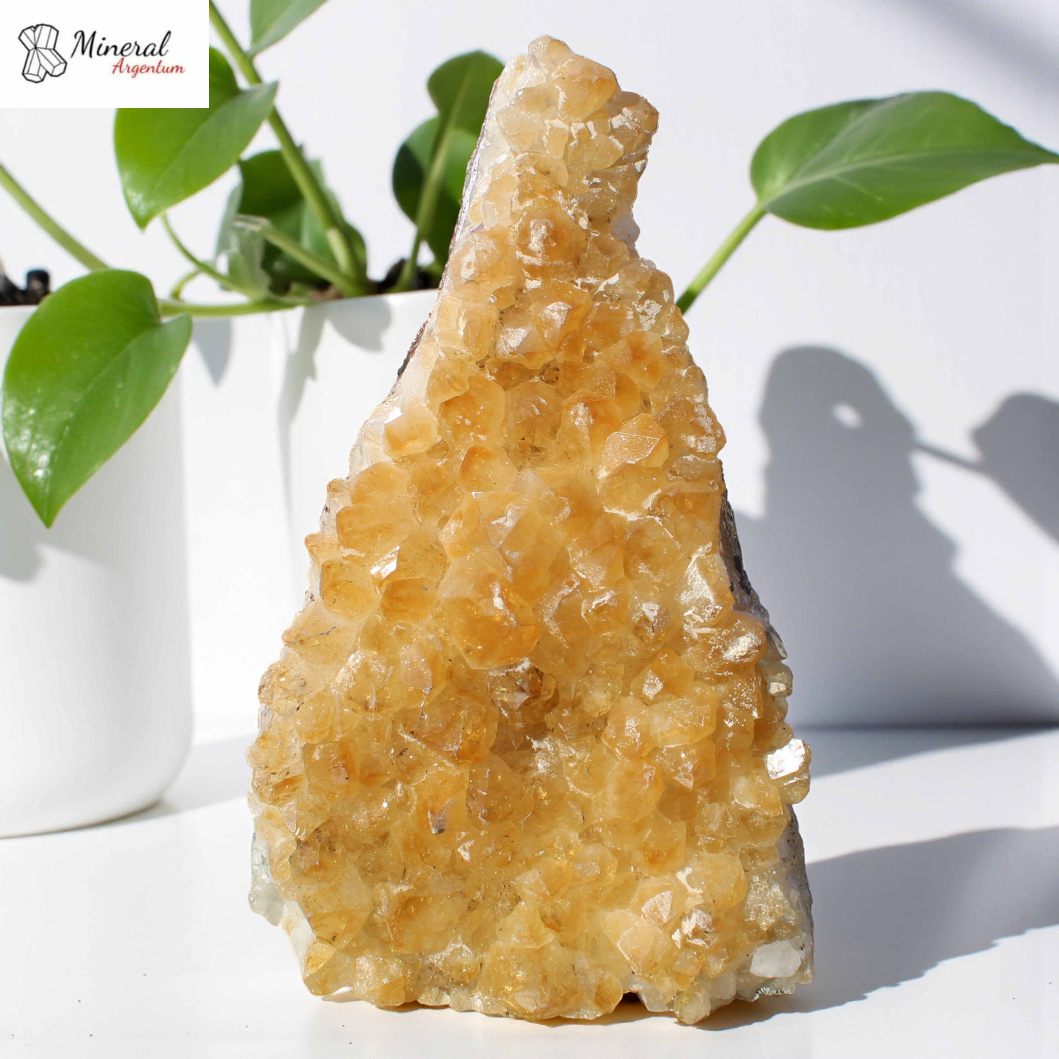 Citrínová drúza 3,558 kg