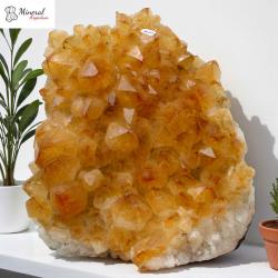 Citrínová drúza 6,712 kg