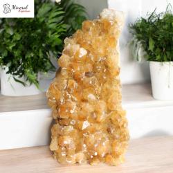 Citrínová drúza 4,804 kg