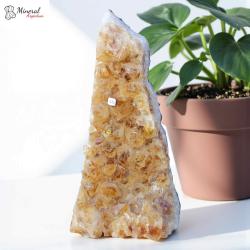 Citrínová drúza 3,214 kg