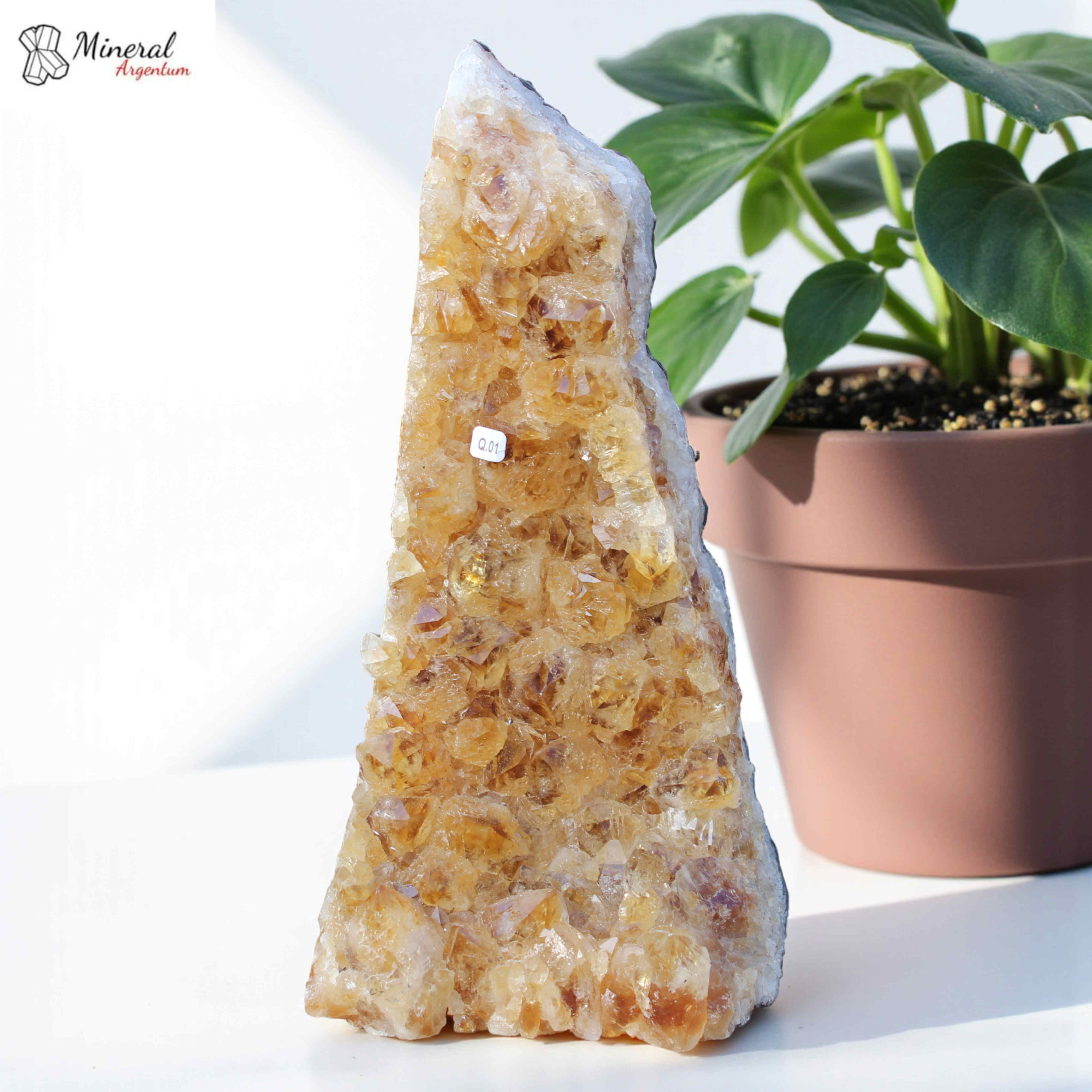 Citrínová drúza 3,214 kg